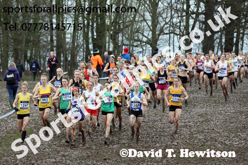 Senior womens 2018 British Inter Counties Cross Country Champs., Prestwold Hall, Loughborough. Photo: David T. Hewitson/Sports for All Pics